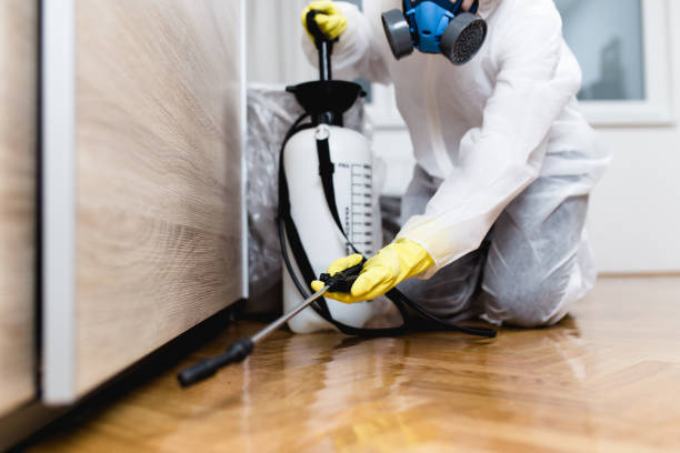 Best Pest Control Near Me in Rosemount, OH