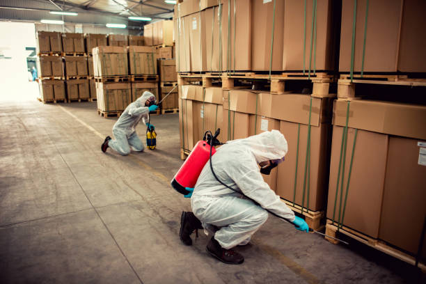 Best Pest Removal Services  in Rosemount, OH