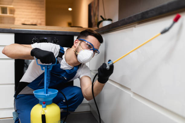 Best Rat Extermination Near Me  in Rosemount, OH
