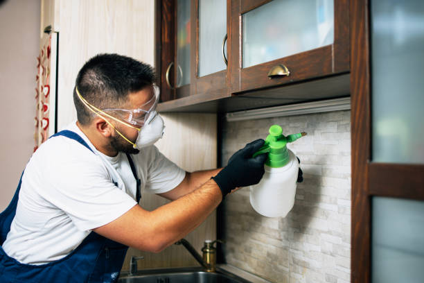 Best Exterminator Services  in Rosemount, OH
