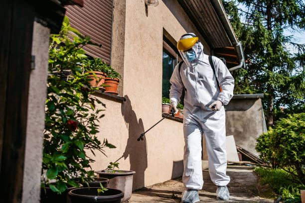 Best Mosquito Control Services  in Rosemount, OH