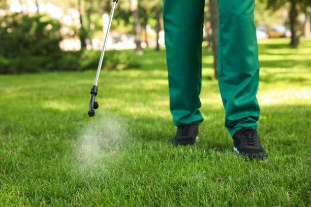 Best Local Pest Control Services  in Rosemount, OH