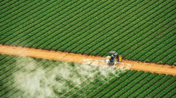 Best Ant Control Services  in Rosemount, OH