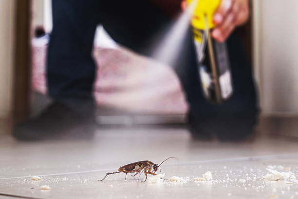 Best Cockroach Control Services  in Rosemount, OH