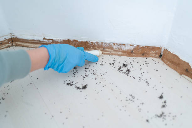 Rosemount, OH Pest Control Company