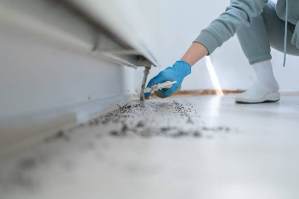 Best Affordable Pest Control Services  in Rosemount, OH