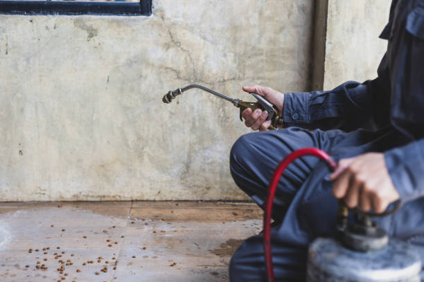 Best Pest Control Near Me  in Rosemount, OH